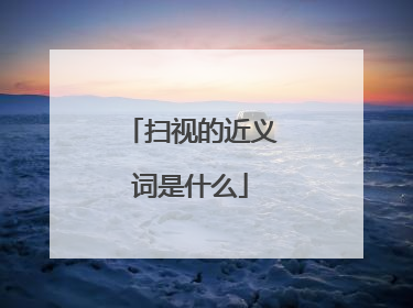 扫视的近义词是什么