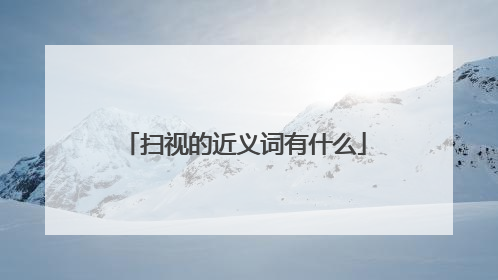 扫视的近义词有什么