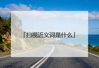 扫视近义词是什么