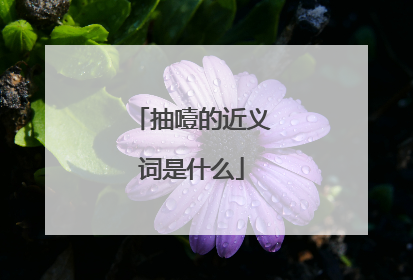 抽噎的近义词是什么