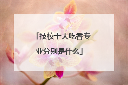 技校十大吃香专业分别是什么