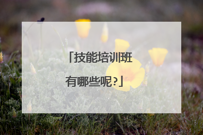 技能培训班有哪些呢?