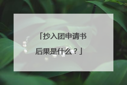 抄入团申请书后果是什么？