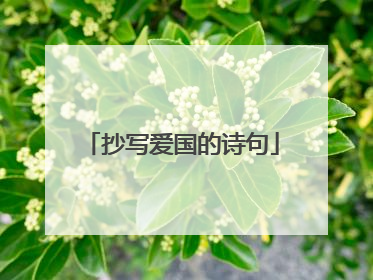 抄写爱国的诗句