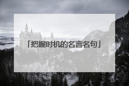 把握时机的名言名句