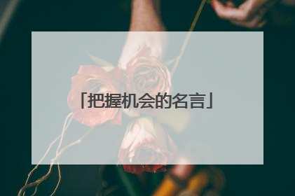 把握机会的名言