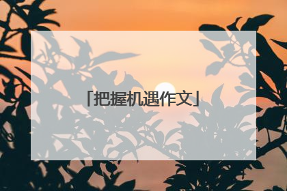 把握机遇作文