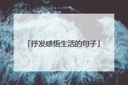 抒发感悟生活的句子