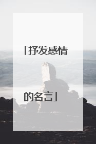 抒发感情的名言