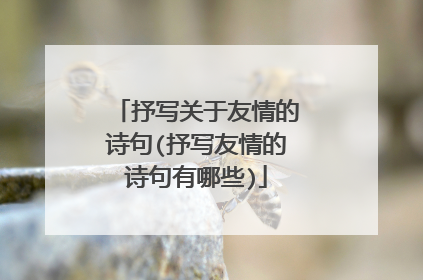 抒写关于友情的诗句(抒写友情的诗句有哪些)