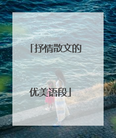 抒情散文的优美语段