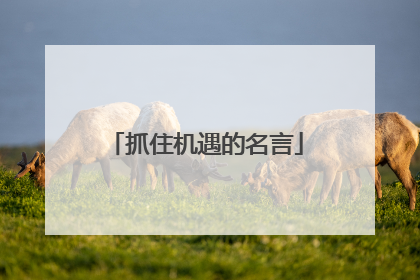 抓住机遇的名言