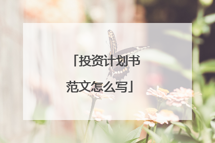投资计划书范文怎么写