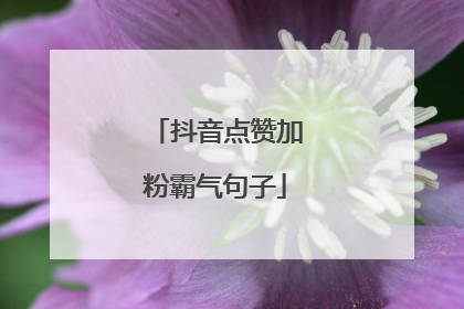 抖音点赞加粉霸气句子