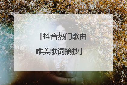 抖音热门歌曲唯美歌词摘抄