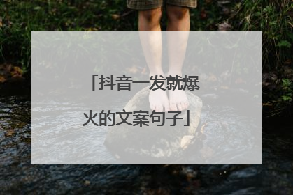 抖音一发就爆火的文案句子