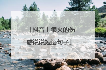 抖音上很火的伤感说说短语句子
