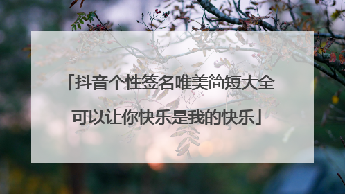 抖音个性签名唯美简短大全 可以让你快乐是我的快乐