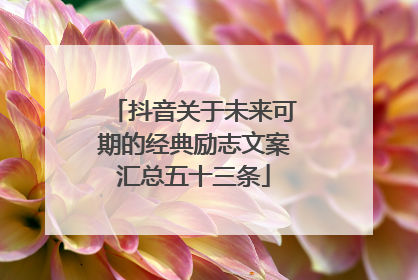 抖音关于未来可期的经典励志文案汇总五十三条