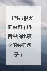 抖音很火的短句（抖音里面比较火的经典句子）