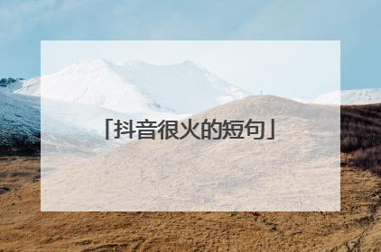 抖音很火的短句