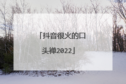 抖音很火的口头禅2022