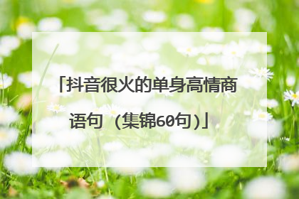抖音很火的单身高情商语句 (集锦60句)