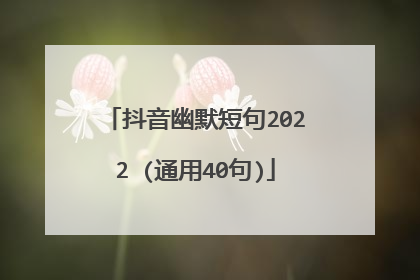 抖音幽默短句2022 (通用40句)