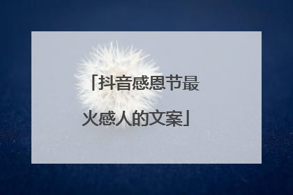 抖音感恩节最火感人的文案