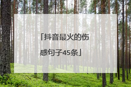 抖音最火的伤感句子45条