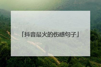 抖音最火的伤感句子