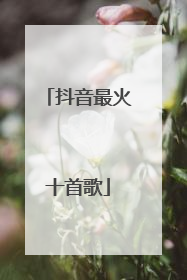 抖音最火十首歌