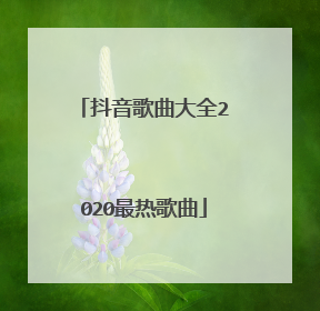 抖音歌曲大全2020最热歌曲
