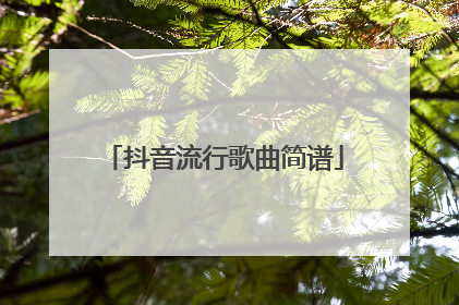 抖音流行歌曲简谱
