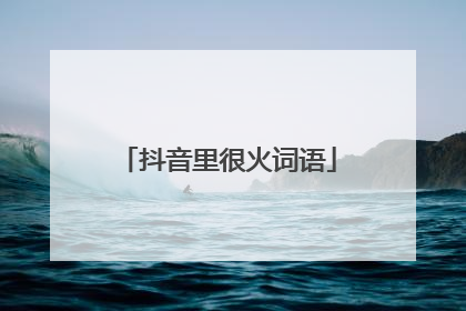 抖音里很火词语