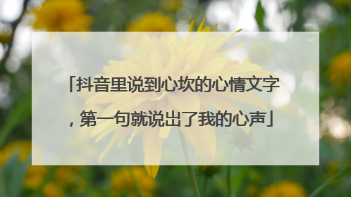 抖音里说到心坎的心情文字，第一句就说岀了我的心声