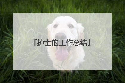 护士的工作总结