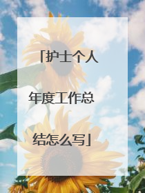护士个人年度工作总结怎么写