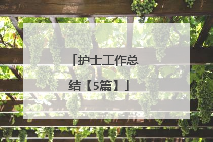 护士工作总结【5篇】