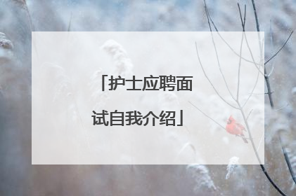 护士应聘面试自我介绍