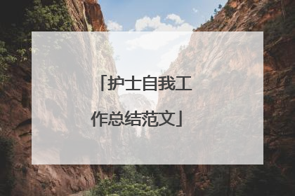 护士自我工作总结范文