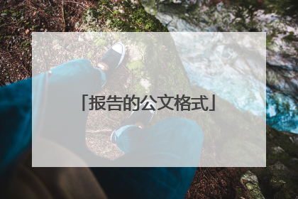 报告的公文格式
