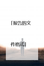 报告的文件格式