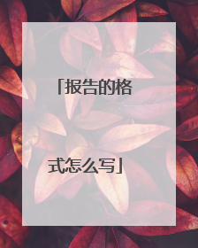 报告的格式怎么写