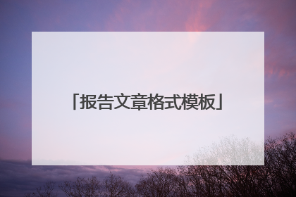 报告文章格式模板
