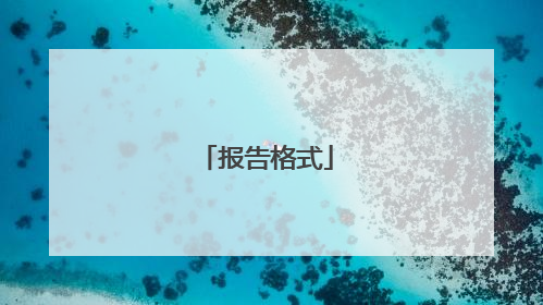 报告格式