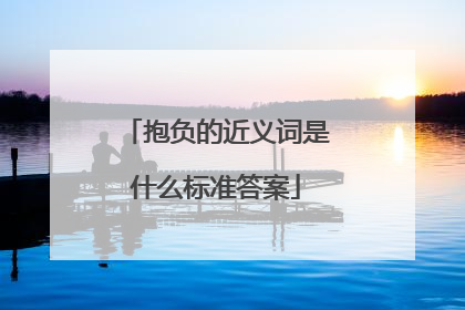 抱负的近义词是什么标准答案