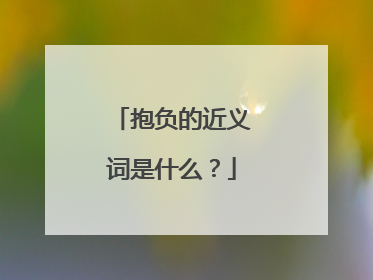 抱负的近义词是什么?