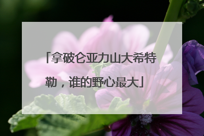 拿破仑亚力山大希特勒，谁的野心最大