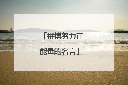 拼搏努力正能量的名言